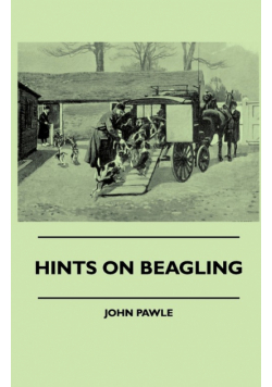 Hints On Beagling