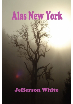 Alas New York