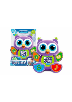 Mądra sowa E-Edu