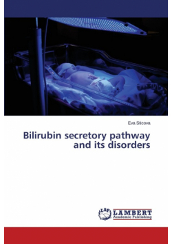 Bilirubin secretory pathway and its disorders