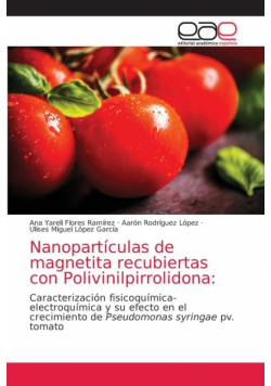 Nanopartículas de magnetita recubiertas con Polivinilpirrolidona