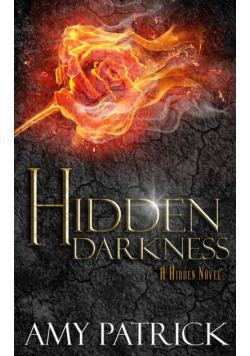 Hidden Darkness, Book 4 of the Hidden Saga