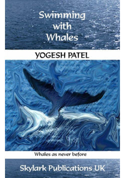 Swimming with Whales