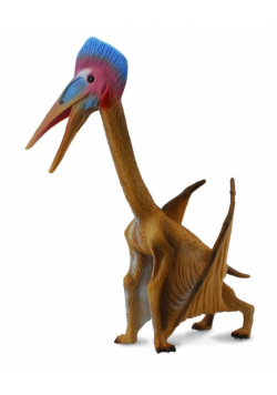 Dinozaur Hetzegopteryx