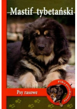 Mastif tybetański Psy Rasowe