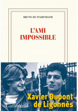 Ami impossible