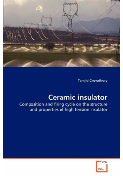 Ceramic insulator
