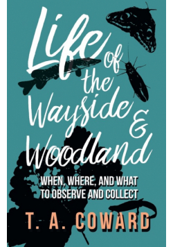 Life of the Wayside and Woodland