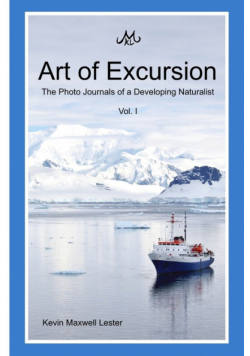 Art of Excursion Vol. 1