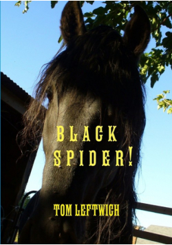 Black Spider !