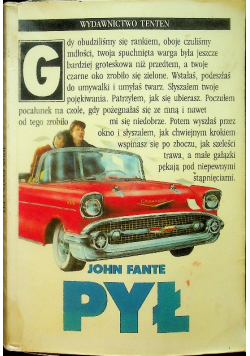 Pył