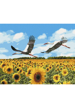 Malowanie po numerach - Bociany na niebie 40x50cm