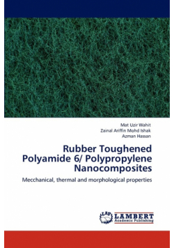 Rubber Toughened Polyamide 6/ Polypropylene Nanocomposites