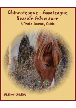 Chincoteague-Assateague Seaside Adventure
