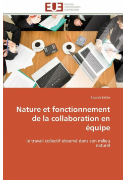 Nature et fonctionnement de la collaboration en équipe