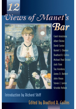 Twelve Views of Manet's Bar