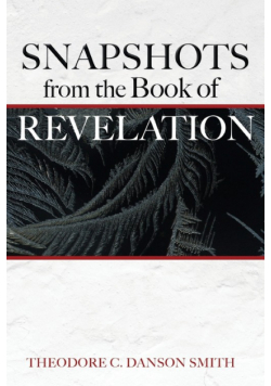 Snapshots from the Book of Revelation
