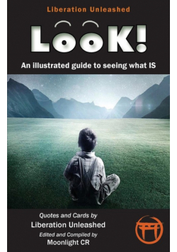 Look!- An Illustrated Guide to Seeing What Is