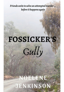 Fossicker's Gully