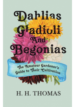 Dahlias, Gladioli and Begonias