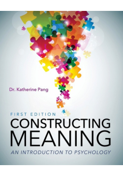 Constructing Meaning