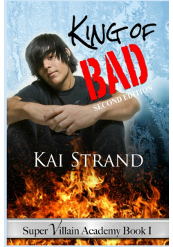 Super Villain Academy Book 1