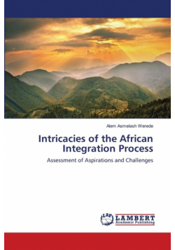 Intricacies of the African Integration Process