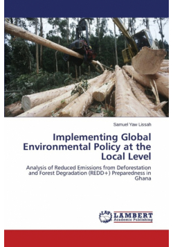 Implementing Global Environmental Policy at the Local Level