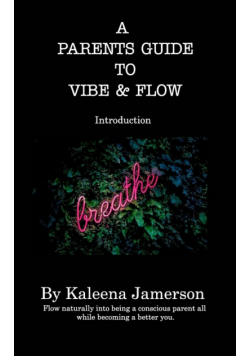 A Parent's Guide To Vibe and Flow
