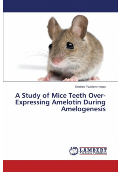A Study of Mice Teeth Over-Expressing Amelotin During Amelogenesis
