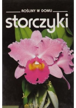 Rośliny w domu Storczyki