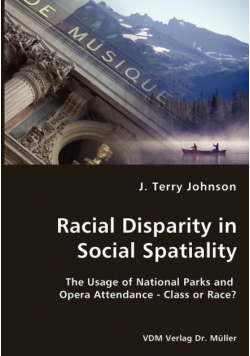 Racial Disparity in Social Spatiality