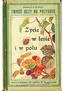 Życie w lesie i w polu 1919 r.