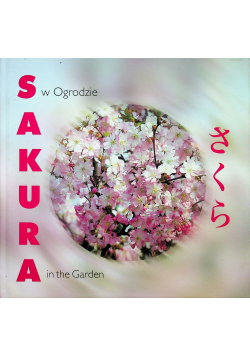 Sakura w odrodzie