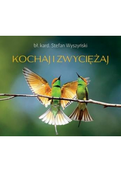 Perełka 235 - Kochaj i zwyciężaj
