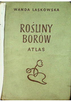 Rośliny borów atlas