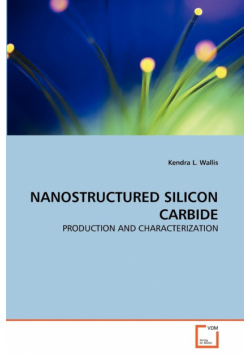 Nanostructured Silicon Carbide