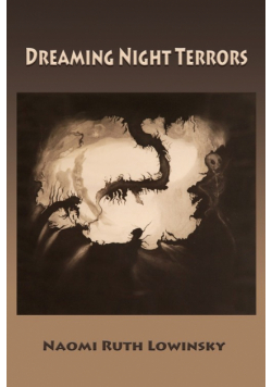 Dreaming Night Terrors