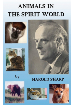 Animals in the Spirit World