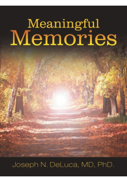 Meaningful Memories