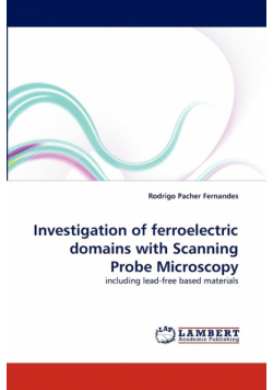 Investigation of Ferroelectric Domains with Scanning Probe Microscopy