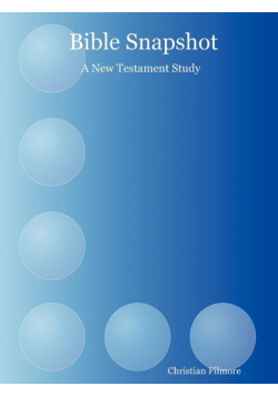 Bible Snapshot