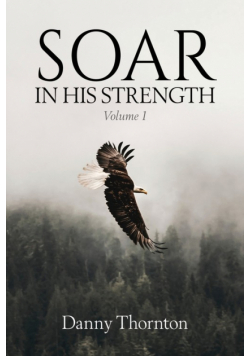 Soar in His Strength