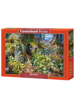 Puzzle From Rusland Woods 2000