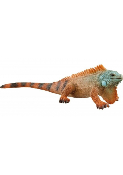 Iguana