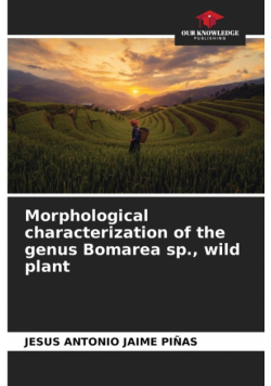 Morphological characterization of the genus Bomarea sp., wild plant