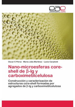 Nano-microesferas core-shell de β-lg y carboximetilcelulosa
