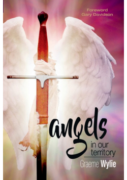 Angels In Our Territory