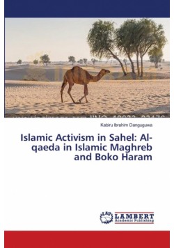 Islamic Activism in Sahel