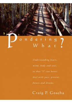 Pondering What?